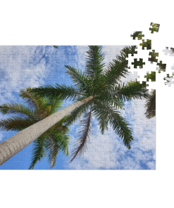 Jigsaw puzzle with tin